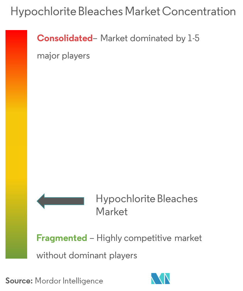 Hypochlorite Bleaches Market Concentration